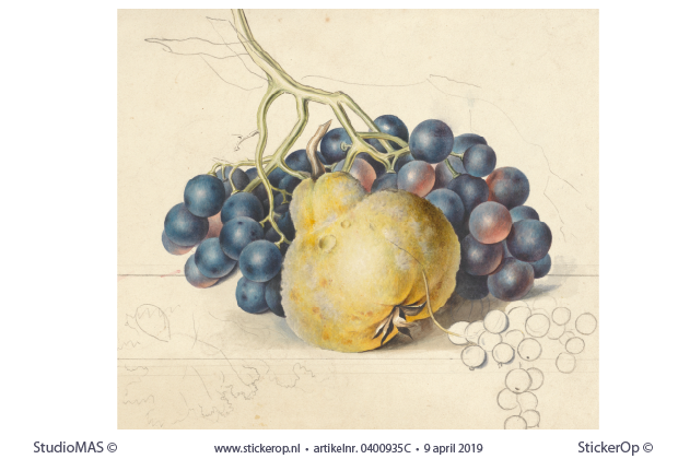 met druiven en een peer-Georgius Jacobus Johannes van Os-origineel