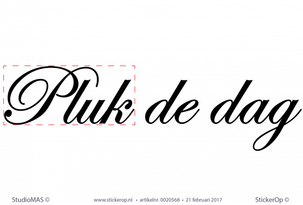 muursticker tekst Pluk de dag