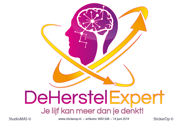 Zakelijk logo - De Herstel Expert muurstickers zakelijke toepassing - logo De Herstel Expert