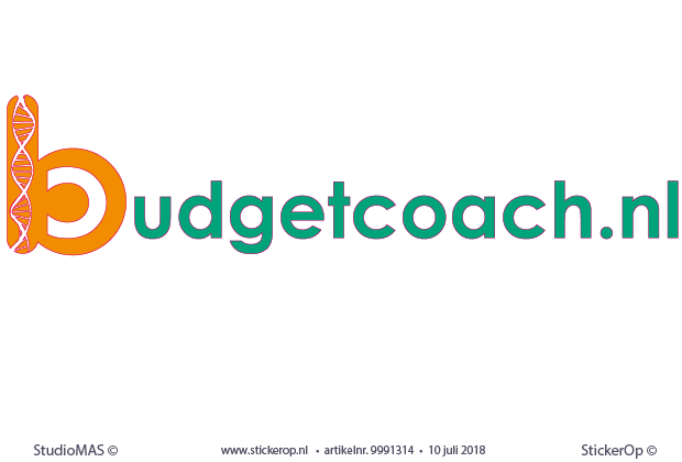 muurstickers zakelijke toepassing - logo BudgetCoach