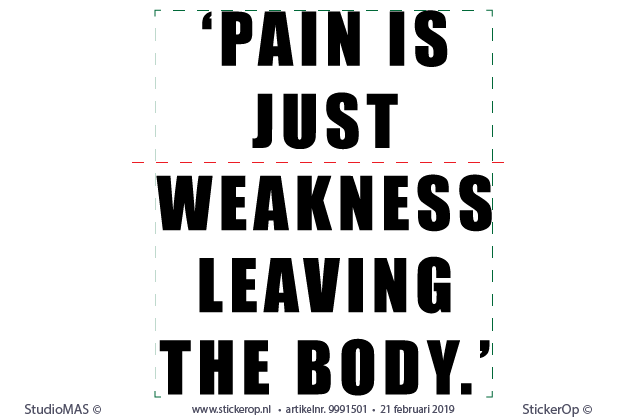 Muursticker quotes - Pain is just weakness leaving the body