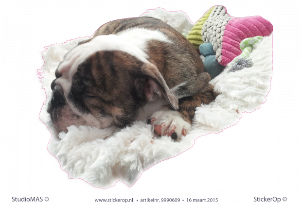 Muursticker van eigen foto - Madelon's hond muursticker van eigen foto Madelons hond