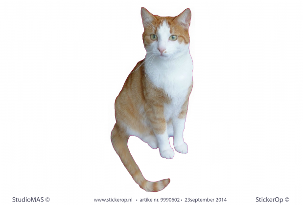 Natasja's Henkie muursticker van henkie de kat