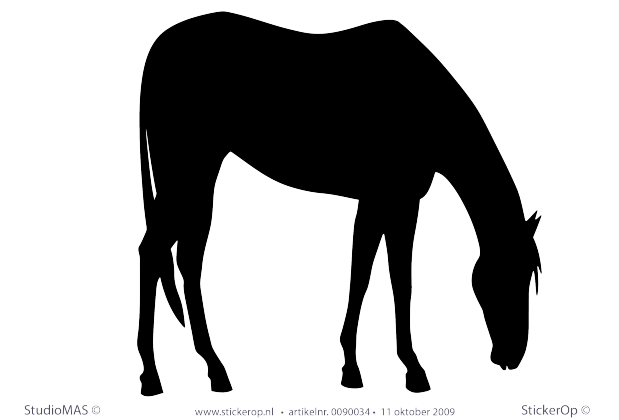 Muursticker thema muursticker dieren paard grazend