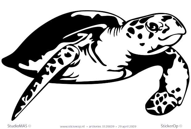 Muurstickers thema muursticker zee schildpad