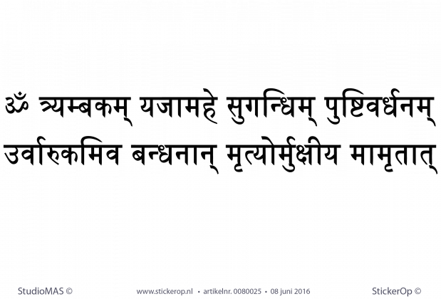 Muursticker thema de wereld - Mantra Mahamrityunjaya muursticker Mantra Mahamrityunjay