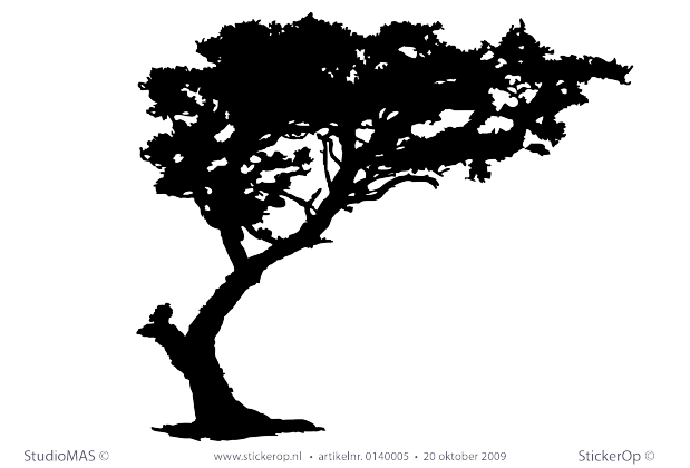 Muurstickers thema muursticker natuur bomen dividivi boom