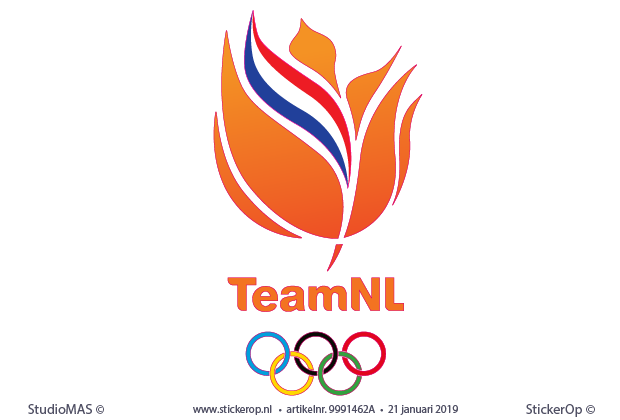 logo - TEAM NL