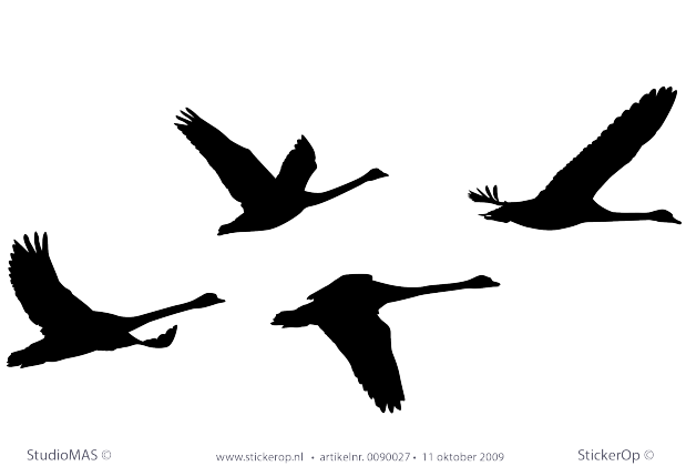 Muursticker thema muursticker dieren vlucht zwanen