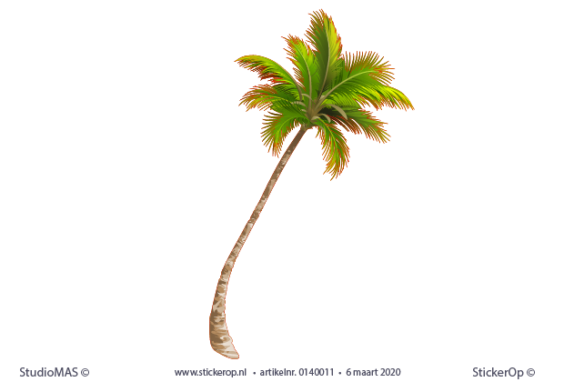 - muursticker thema tropisch - Palmboom