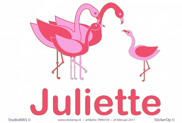 Muursticker van eigen plaatje Frederiques Flamingos