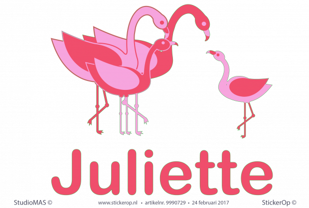 Muursticker van zelf aangeleverd geboortekaartje - Frédériques Flamingo's Muursticker van eigen plaatje Frederiques Flamingos