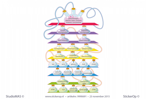muursticker bodymap ontwikkelingslab